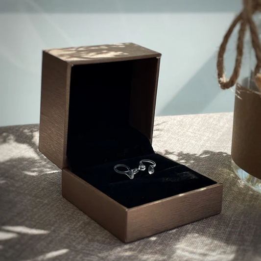 Aurix – Ear Corrector Clip