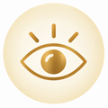 See Everything At A Glance